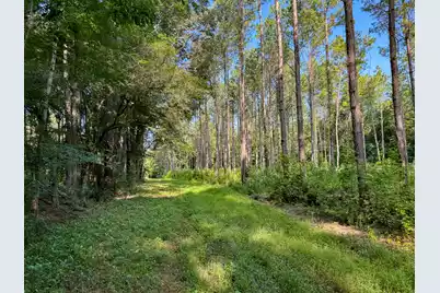 0 Hope Plantation Lane, Jacksonboro, SC 29452 - Photo 39