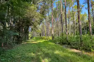 0 Hope Plantation Ln, Jacksonboro, SC 29452 - Photo 39