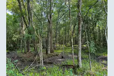 0 Hope Plantation Lane, Jacksonboro, SC 29452 - Photo 43
