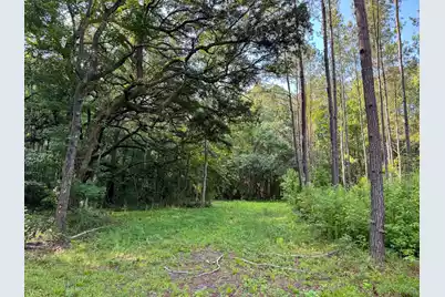 0 Hope Plantation Lane, Jacksonboro, SC 29452 - Photo 33