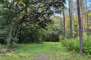 0 Hope Plantation Ln, Jacksonboro, SC 29452 - Photo 33