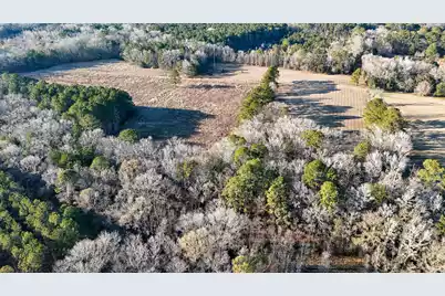 0 Hope Plantation Lane, Jacksonboro, SC 29452 - Photo 63