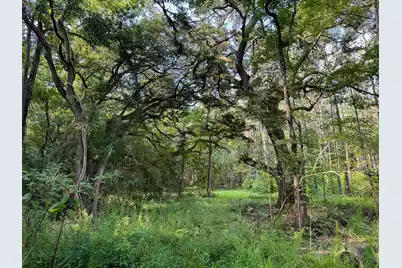 0 Hope Plantation Lane, Jacksonboro, SC 29452 - Photo 31