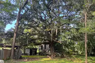 0 Hope Plantation Ln, Jacksonboro, SC 29452 - Photo 51