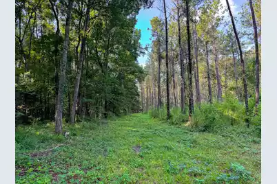 0 Hope Plantation Lane, Jacksonboro, SC 29452 - Photo 41