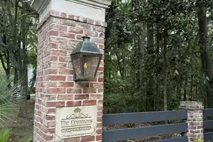 1165 St Pauls Parrish Ln, Johns Island, SC 29455 - Photo 3