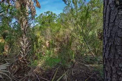 8326 Shell House Road, Edisto Island, SC 29438 - Photo 7