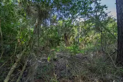 8326 Shell House Road, Edisto Island, SC 29438 - Photo 3