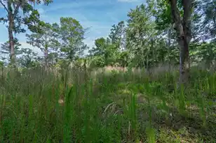 8326 Shell House Rd, Edisto Island, SC 29438 - Photo 1