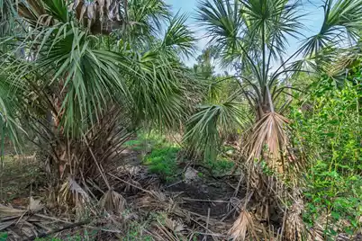 8326 Shell House Road, Edisto Island, SC 29438 - Photo 13