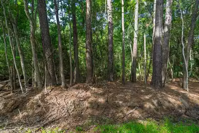 8326 Shell House Road, Edisto Island, SC 29438 - Photo 27