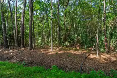 8326 Shell House Road, Edisto Island, SC 29438 - Photo 21