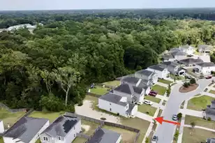 515 Matuskovic Dr, Charleston, SC 29414 - Photo 67