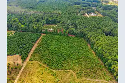 00 Adams Road, Cottageville, SC 29435 - Photo 11