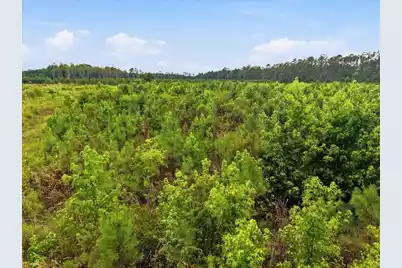 00 Adams Road, Cottageville, SC 29435 - Photo 25