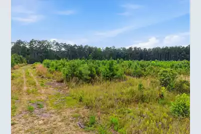 00 Adams Road, Cottageville, SC 29435 - Photo 21