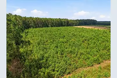 00 Adams Road, Cottageville, SC 29435 - Photo 3