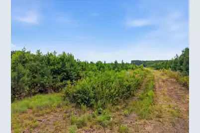 00 Adams Road, Cottageville, SC 29435 - Photo 29