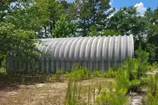 4091 Columbia Hwy, Ridge Spring, SC 29129 - Photo 23
