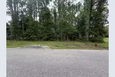 Tbd Lakewood Drive, Manning, SC 29102 - Photo 1