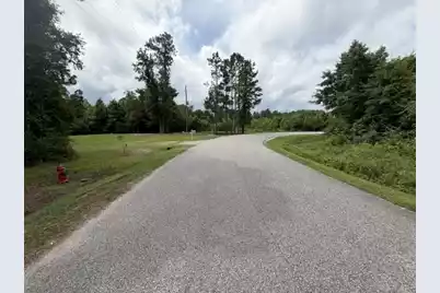 Tbd Lakewood Drive, Manning, SC 29102 - Photo 3