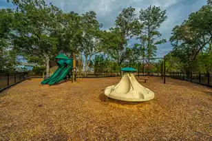 4007 Oxeye Loop, Johns Island, SC 29455 - Photo 55