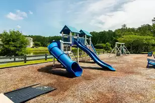 2021 Triple Crown Ln, Ridgeville, SC 29472 - Photo 37