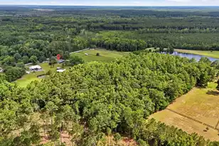 10007 Jacksonboro, Cottageville, SC 29435 - Photo 37