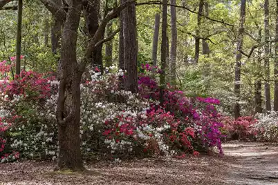 108 Tea Farm Road, Summerville, SC 29483 - Photo 73