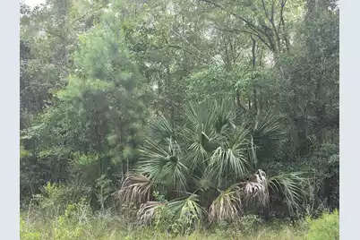 7929 Legare Road, Edisto Island, SC 29438 - Photo 7