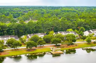 2997 Sweetleaf Ln, Johns Island, SC 29455 - Photo 63