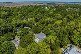 371 Live Palmetto Blf, Mount Pleasant, SC 29464 - Photo 77