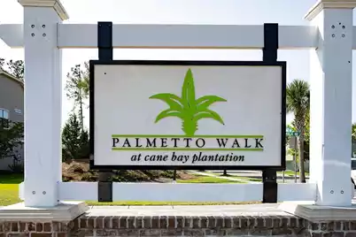 251 Palmetto Walk Drive, Summerville, SC 29486 - Photo 43