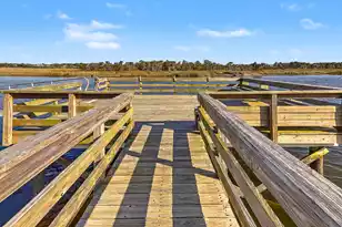 1260 Blue Sky Lane, Charleston, SC 29492 - Photo 47