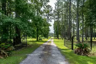 142 Cloverleaf Dr, Saint George, SC 29477 - Photo 59