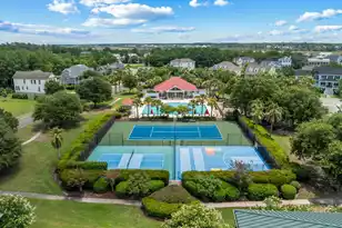 1298 Blue Sky Lane, Charleston, SC 29492 - Photo 41