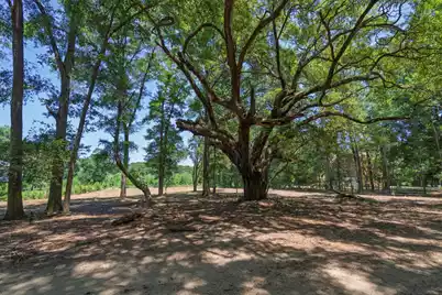 1448 Marsh Bluff Court #6, Edisto Island, SC 29438 - Photo 9