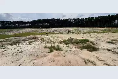 5374 Crinum Lilly, Summerville, SC 29485 - Photo 65