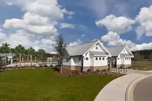 5374 Crinum Lilly, Summerville, SC 29485 - Photo 67
