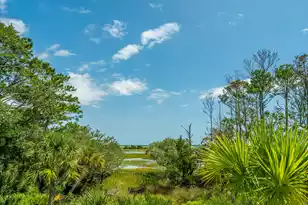 3640 Tidal Flat Cir, Mount Pleasant, SC 29466 - Photo 59