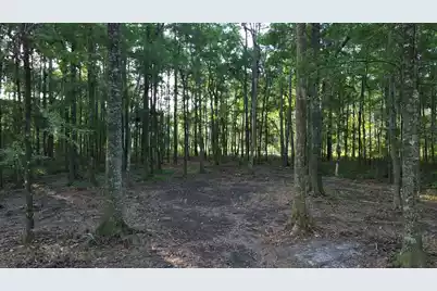 379 Fish Road Estates Lane, Cross, SC 29472 - Photo 19