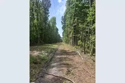N/A Graham Street, Saint Stephen, SC 29479 - Photo 1
