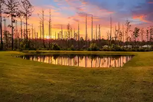 213 Salty Rim Pt, Hardeeville, SC 29927 - Photo 3