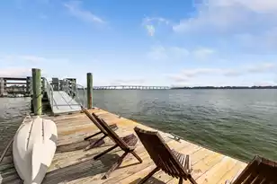 1418 Smythe St, Daniel Island, SC 29492 - Photo 53
