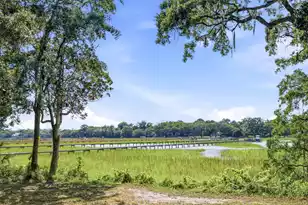 960 Shem Dr N, Mount Pleasant, SC 29464 - Photo 7
