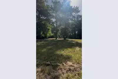 209 Claussen Street, Summerville, SC 29483 - Photo 3