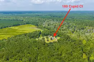 189 Cupid Ct, Eutawville, SC 29048 - Photo 55