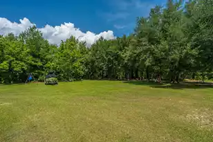 189 Cupid Ct, Eutawville, SC 29048 - Photo 49