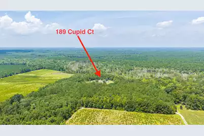 189 Cupid Court, Eutawville, SC 29048 - Photo 57