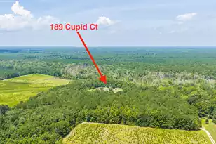 189 Cupid Ct, Eutawville, SC 29048 - Photo 57